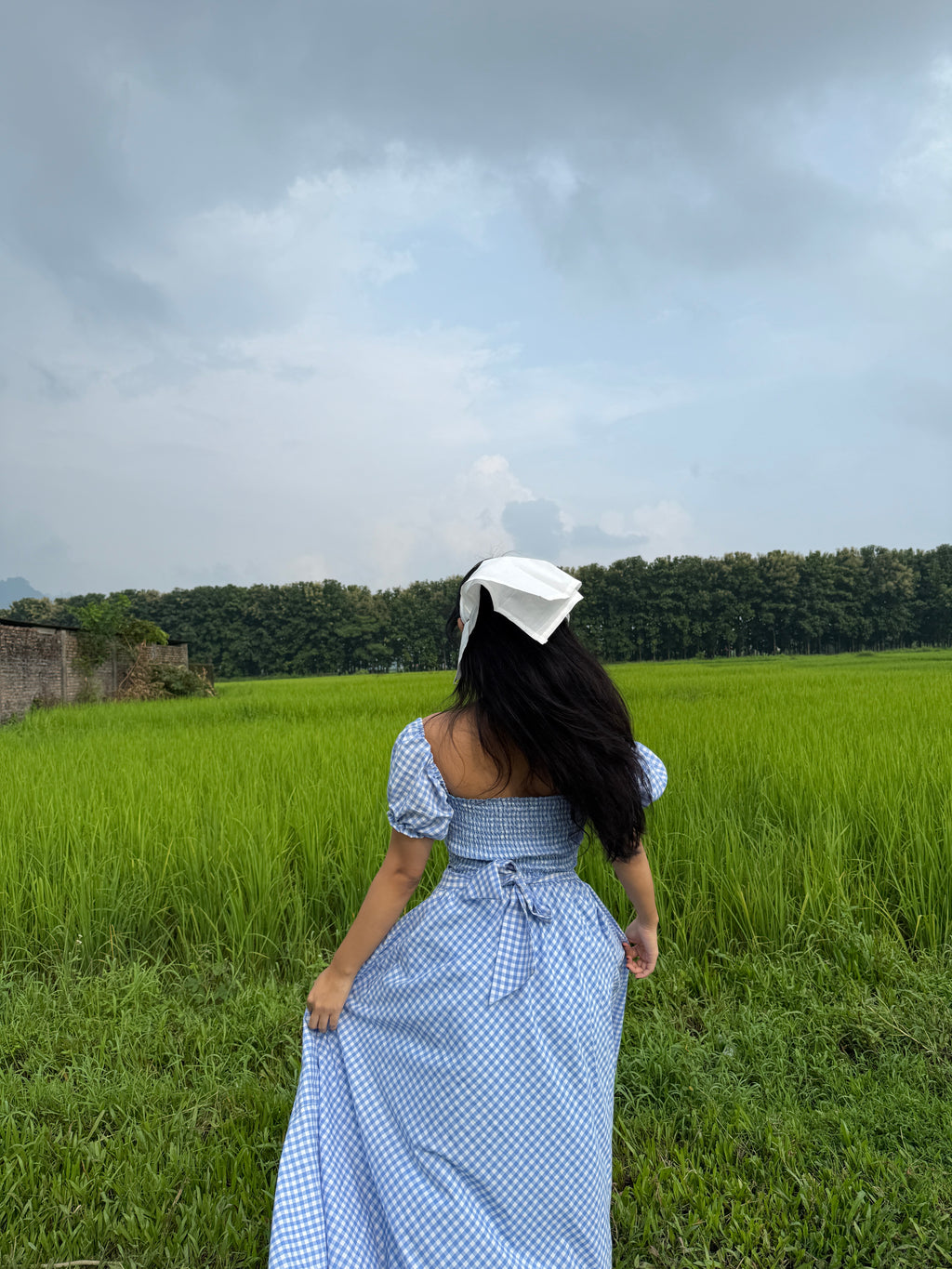 Blue crush gingham dress