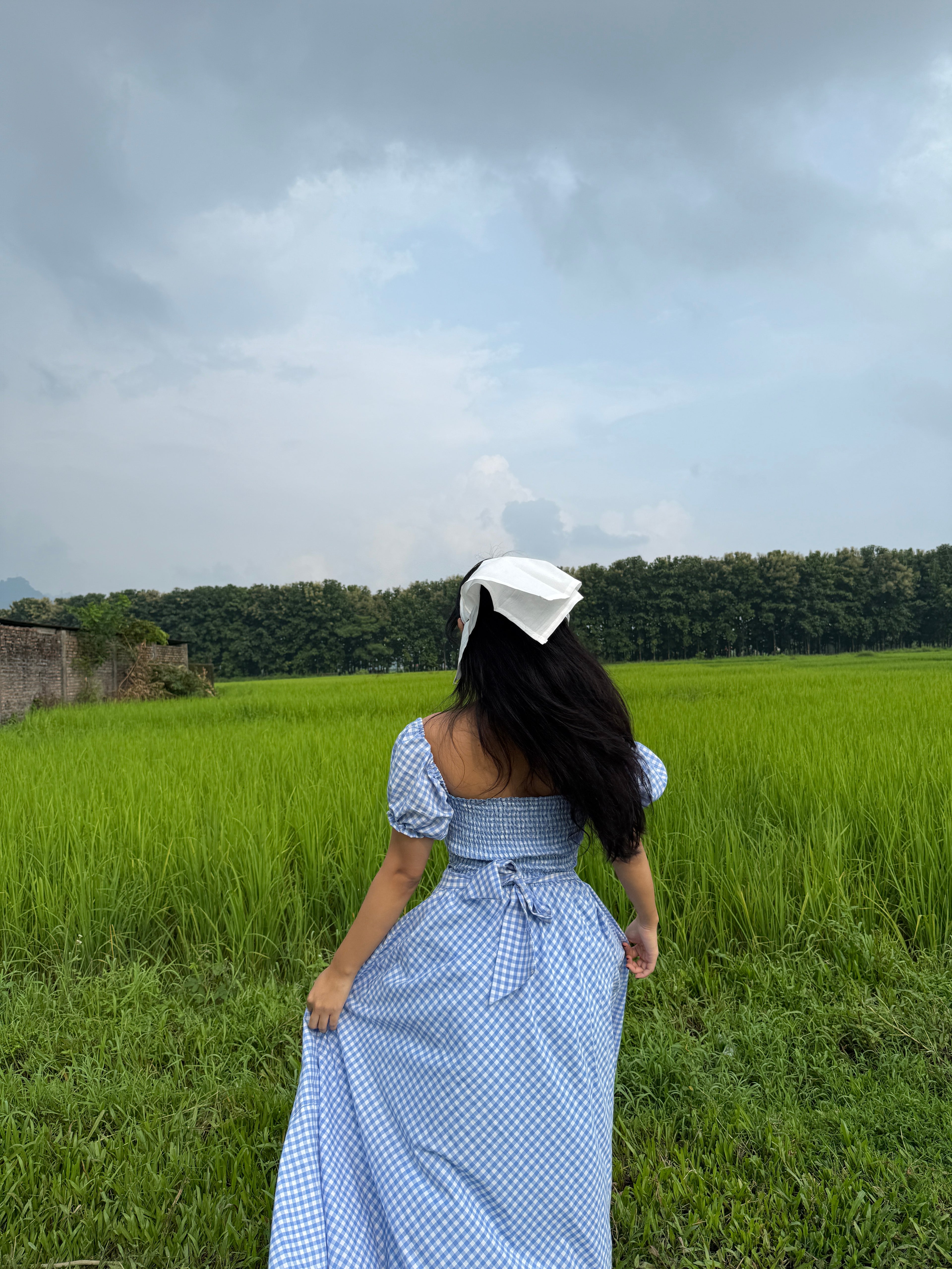 Blue crush gingham dress