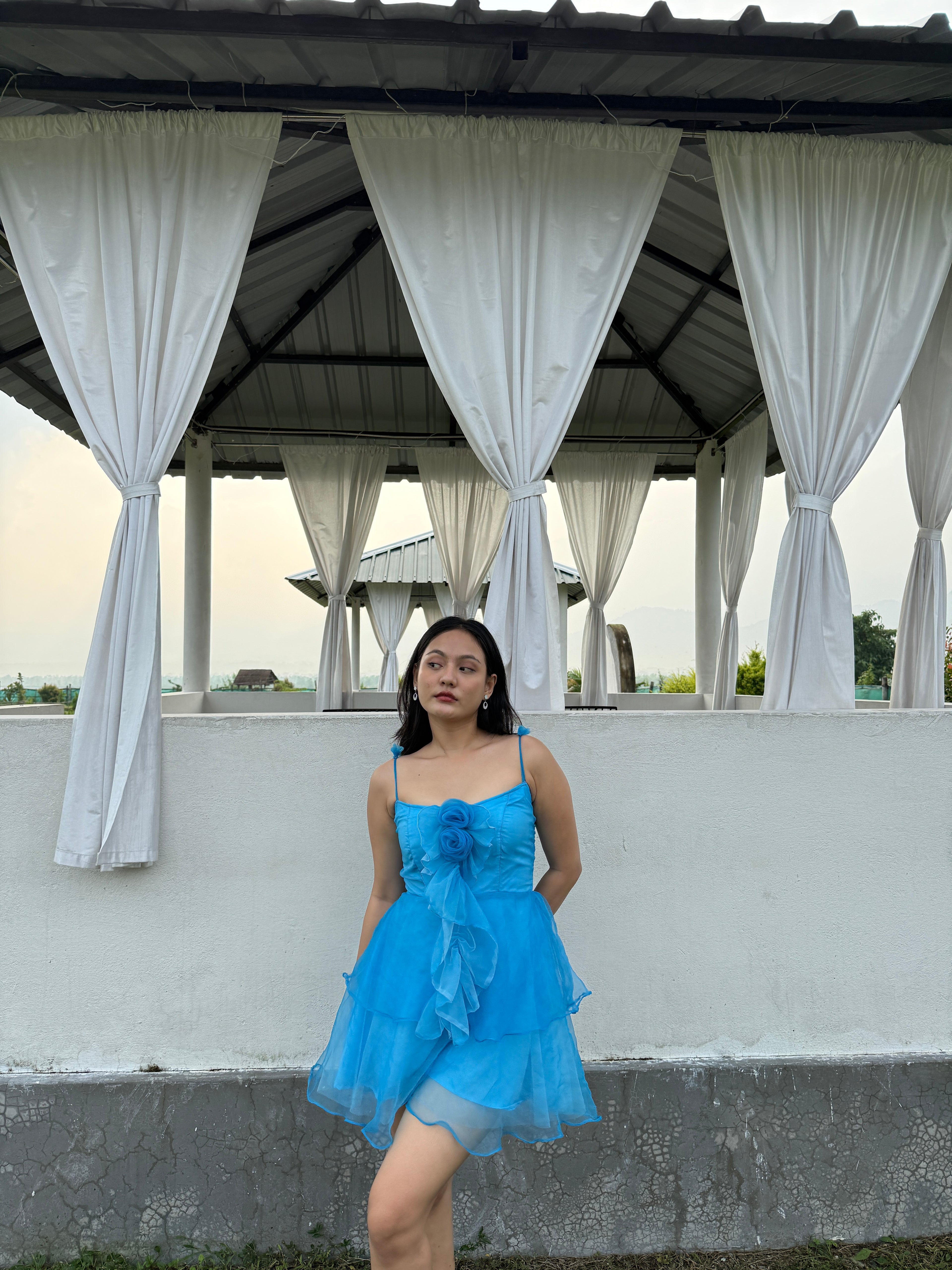 BLUE ROSY RUFFLES DRESS