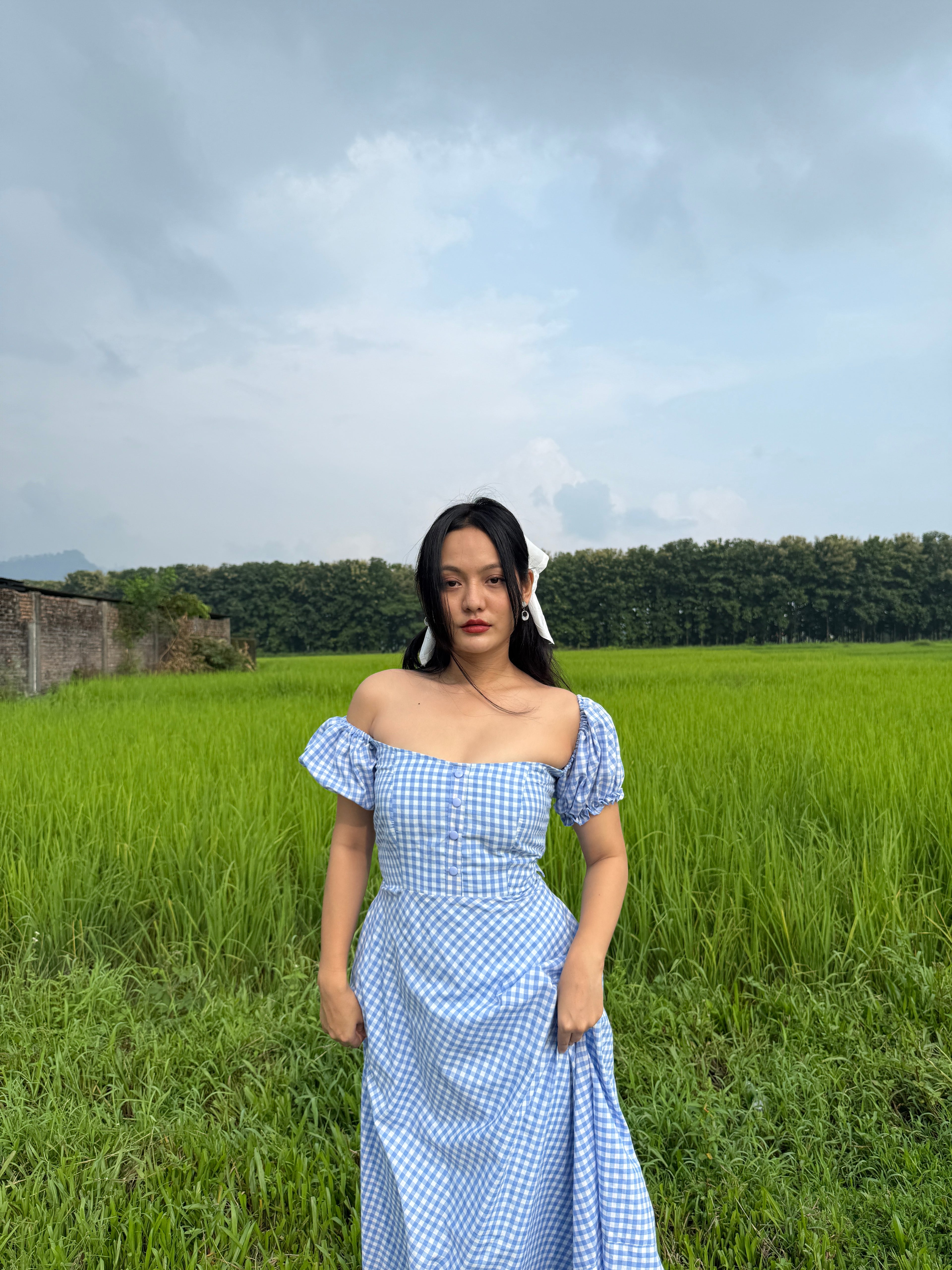 Blue crush gingham dress