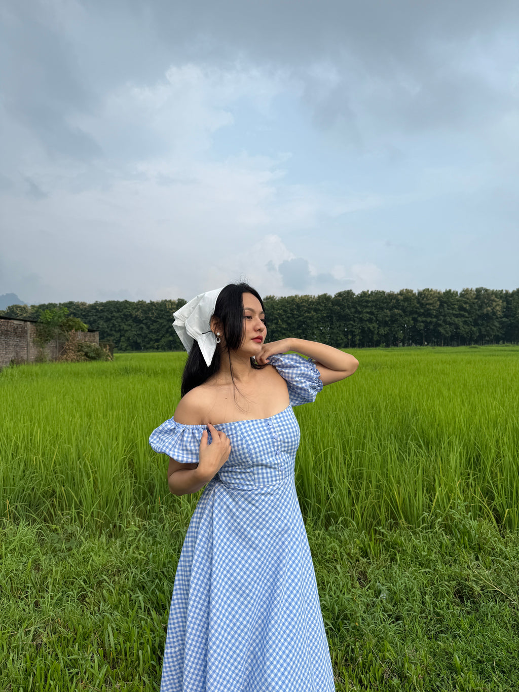 Blue crush gingham dress