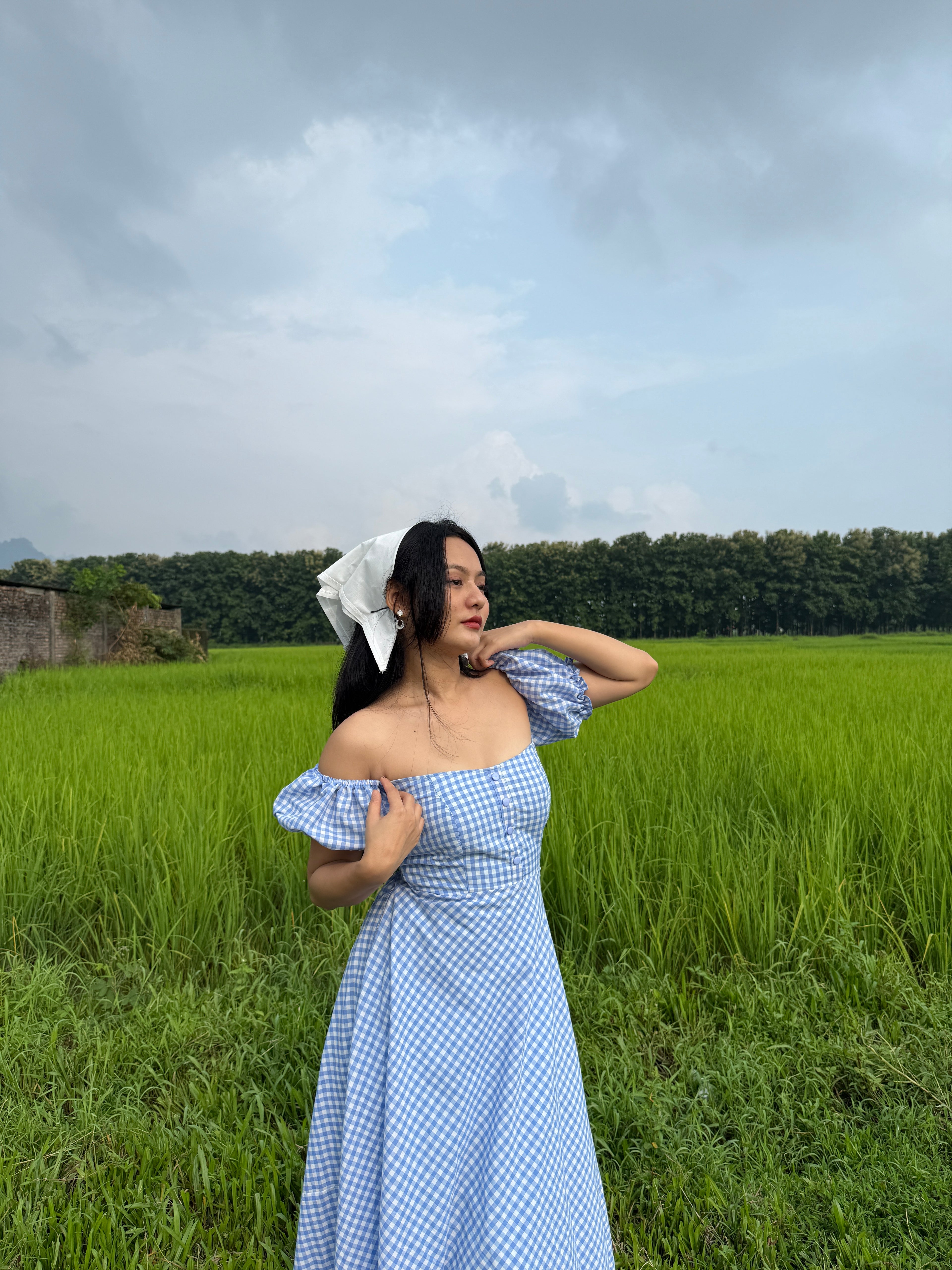 Blue crush gingham dress