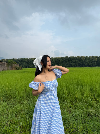 Blue crush gingham dress