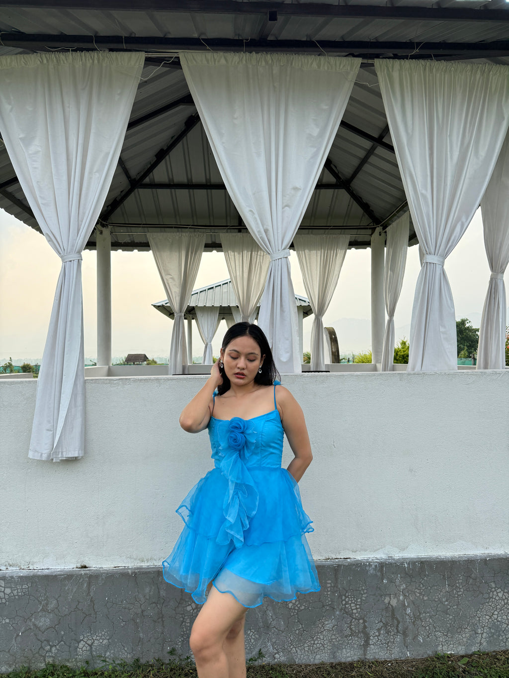 BLUE ROSY RUFFLES DRESS