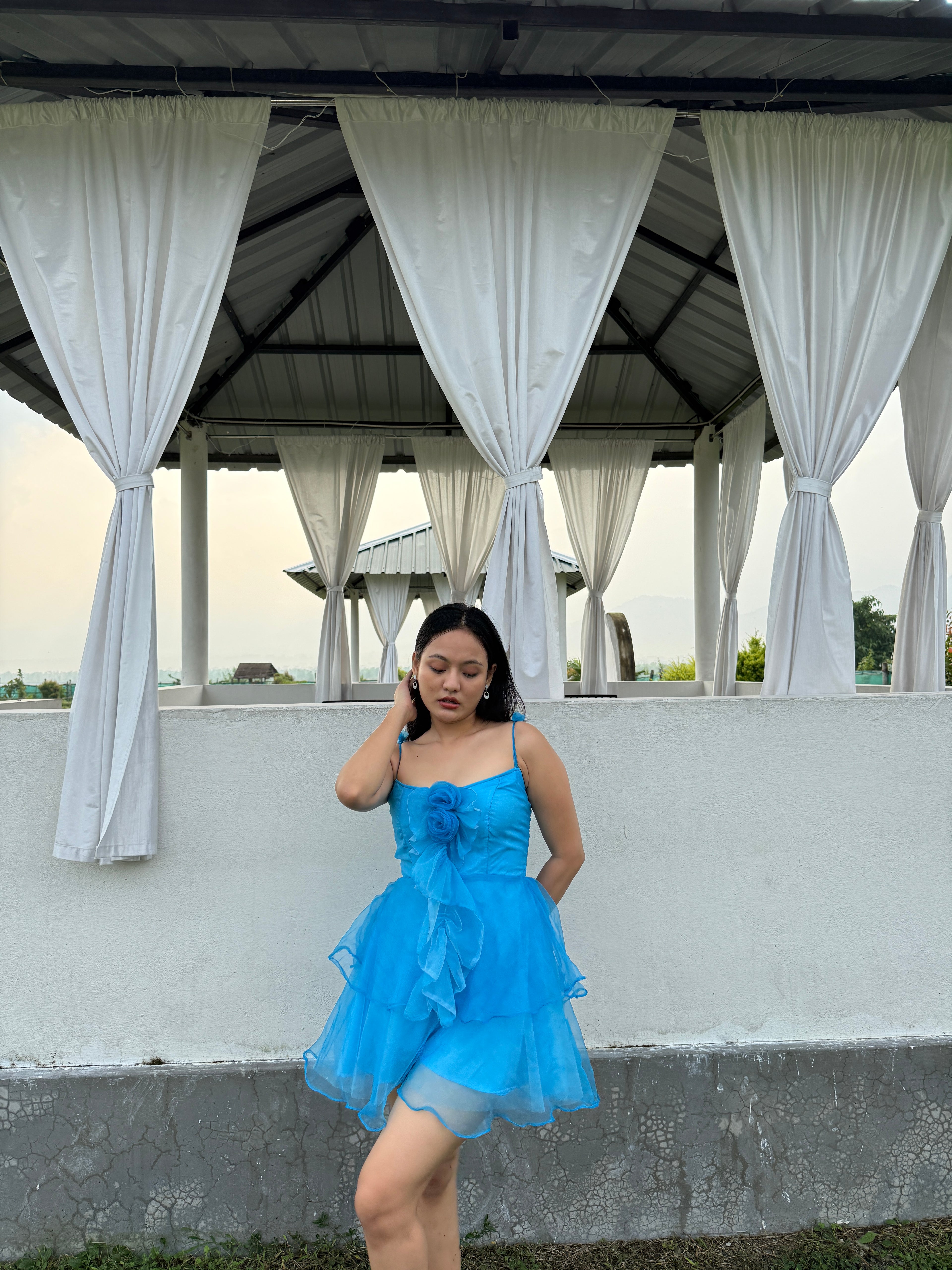 BLUE ROSY RUFFLES DRESS