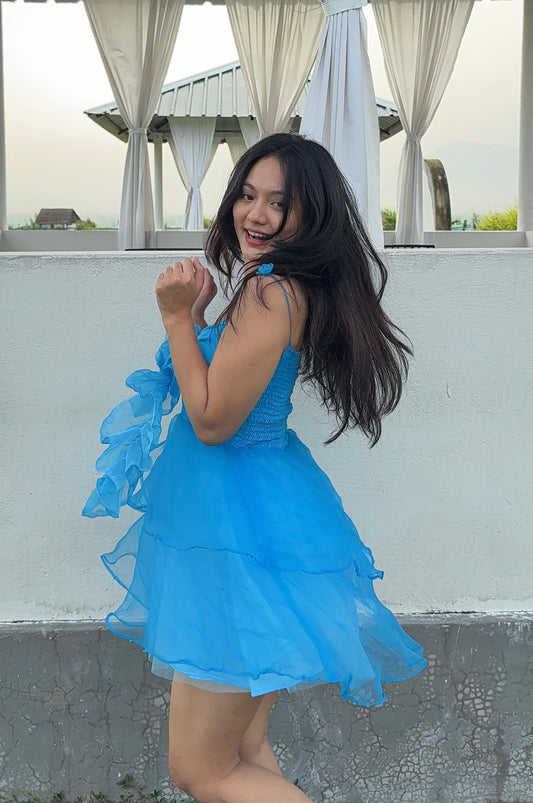 BLUE ROSY RUFFLES DRESS