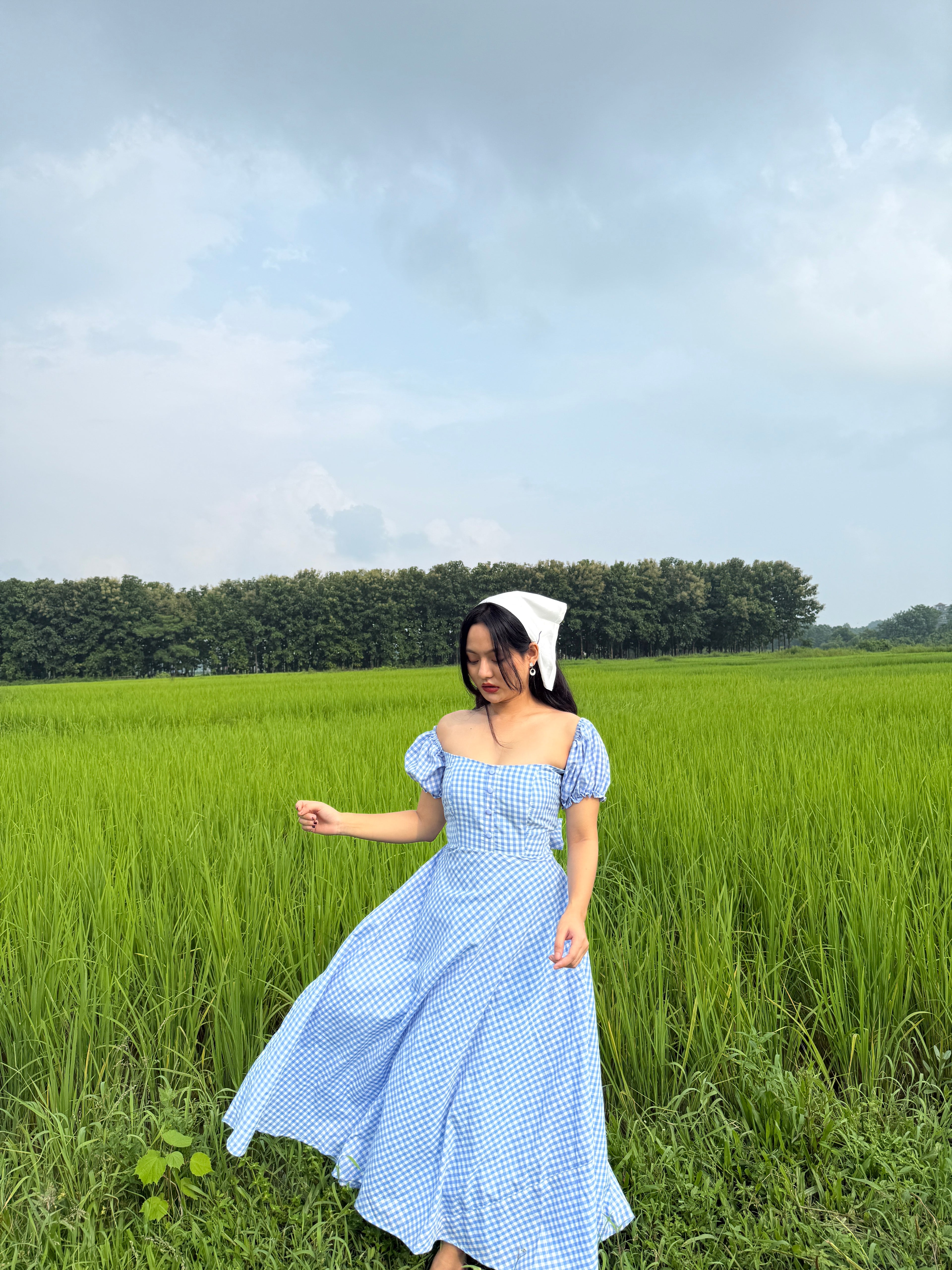 Blue crush gingham dress