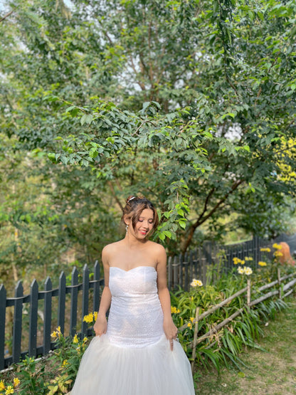 White Swan Dress