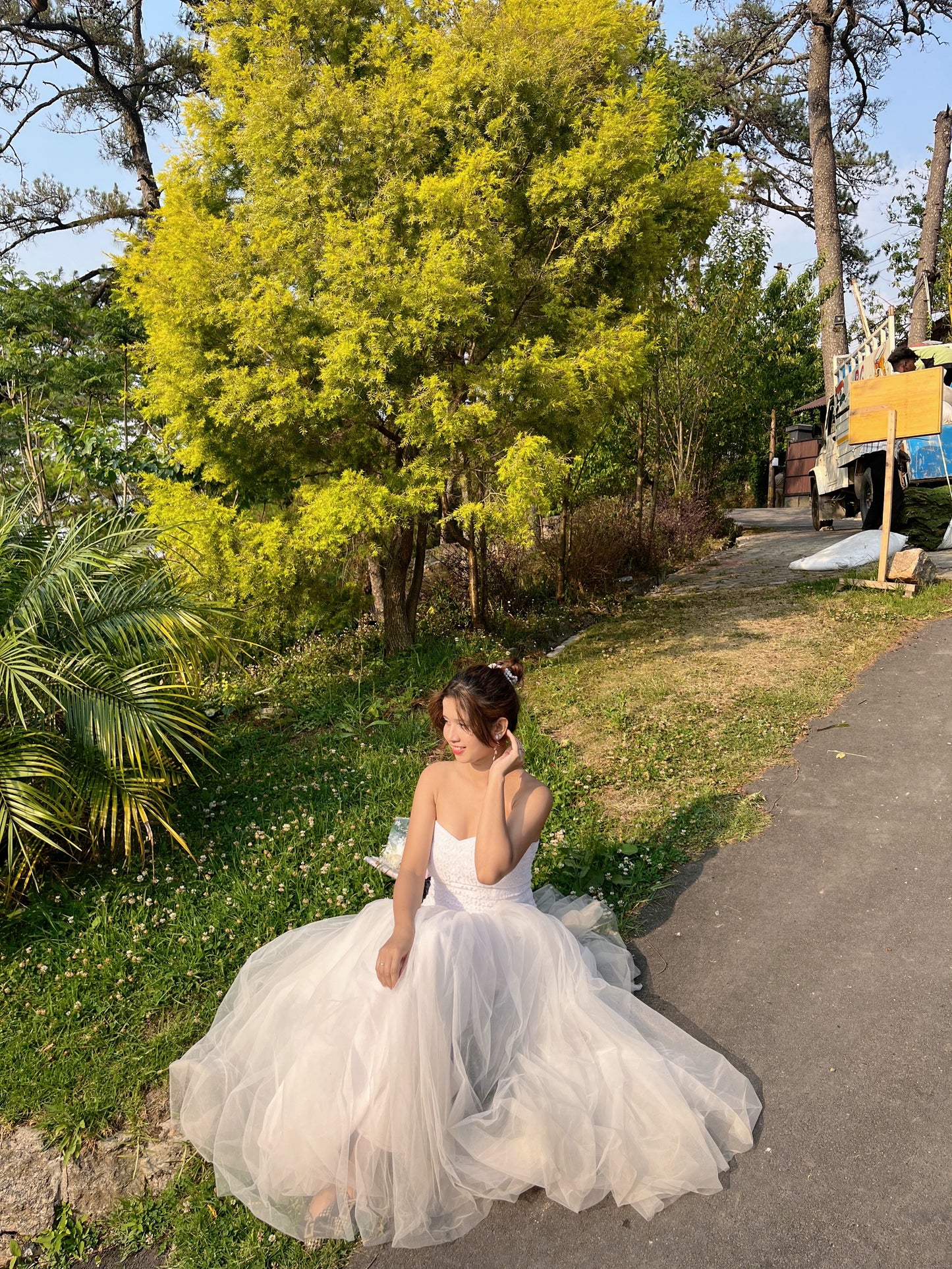 White Swan Dress