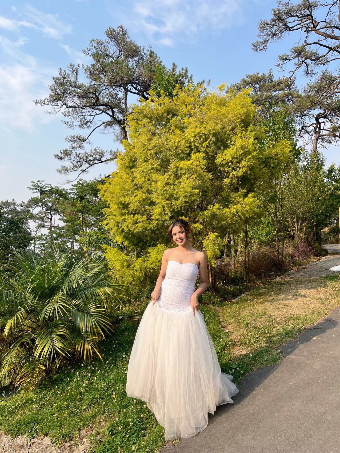 White Swan Dress