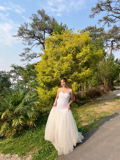 White Swan Dress