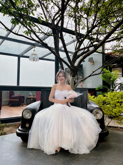 White Swan Dress