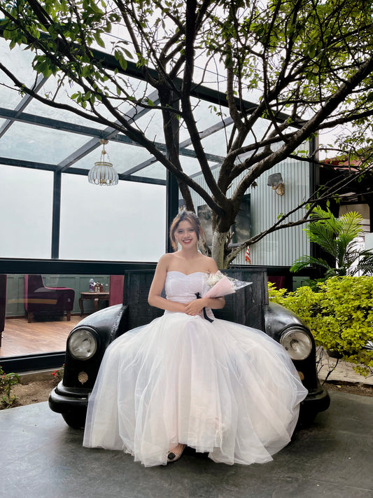White Swan Dress