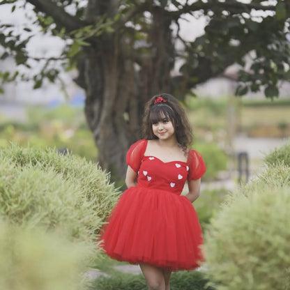 BERRY CRUSH DRESS WITH SLEEVES