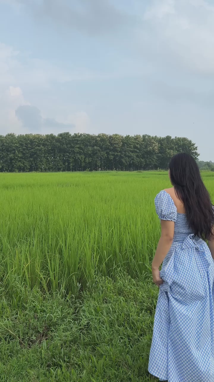 Blue crush gingham dress