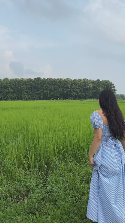 Blue crush gingham dress