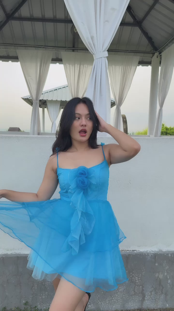 BLUE ROSY RUFFLES DRESS